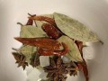 盐水鸭翅的制作方法（用最简单的方作美味的盐水鸭翅）