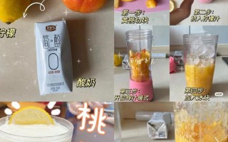 手工DIY，自制美味黄桃酸奶（轻松学会制作，营养美味双丰收）