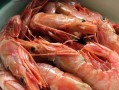 如何制作美味的阿根廷大虾菜肴（学习如何选购、清洁和烹饪阿根廷大虾）