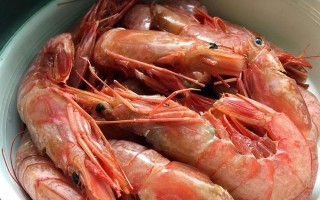 如何制作美味的阿根廷大虾菜肴（学习如何选购、清洁和烹饪阿根廷大虾）