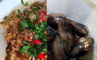 美味健康的蒜蓉粉丝河蚌（做法简单、口感爽滑，营养丰富美味可口）