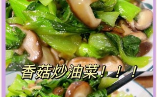 四季青香菇美食大赏（以香菇四季青打造口感鲜美、营养丰富的佳肴）