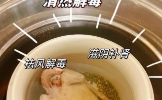 白鸽绿豆汤的营养价值及制作方法（一碗清爽营养的夏日饮品）
