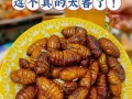 炸柞蚕蛹做法大揭秘（如何制作美味可口的炸柞蚕蛹）