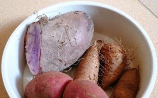 甜薯胶美食制作指南（美味、健康、简单，用甜薯胶做出让人惊艳的佳肴）