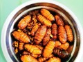 炸柞蚕蛹，美味佳肴（以新鲜柞蚕蛹为原料，炸出美味佳肴，口感鲜香，别有风味。）