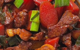 一口咬下，红烧肉的绝佳滋味（教你掌握超级好吃的红烧肉做法，尝尽美味生活）