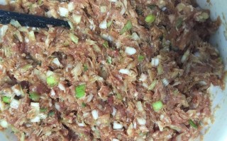 用大葱为调味品，做一份美味馅饼猪肉（教你如何制作口感好、味道棒的大葱馅饼猪肉）