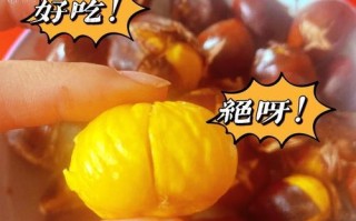 自制糖炒板栗，美味DIY不止于此（一起来探索制作糖炒板栗的乐趣吧！）