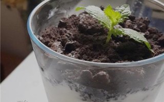 用酸奶盆栽打造绿色小世界（以酸奶盆为种植工具，创意盆栽让生活更美好）