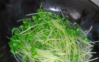 爽口豌豆苗美食制作（做法详解，让你吃出美味新感觉）