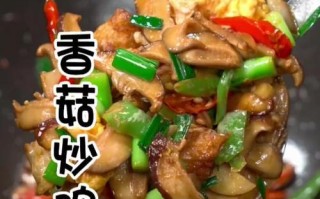 香菇焖米饭，美味佳肴（用香菇给米饭增添美味，健康食谱推荐）