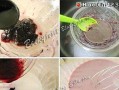 美食家的福音——桑葚酸奶西米杯（奇妙的口感，燃爆你的味蕾）
