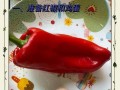 四季豆红椒炒鸡蛋，营养美味好滋味（家常菜谱，快速上手，简单易学）