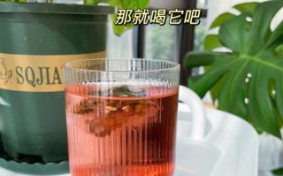 石榴冷萃茶的制作方法（清凉舒爽，简单易学，惊艳你的味蕾）