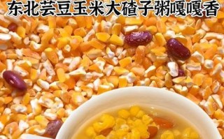 小碴子粥的营养与制作方法（一道营养丰富的家常粥品，助您轻松拥有健康身体）