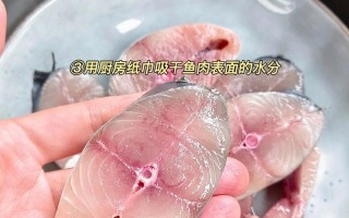 酸菜糟菜马鲛鱼的美味做法（传统风味，营养丰富，激发味蕾）
