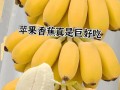 健康美味，尝试香蕉苹果沙拉（清新口感，健康餐桌必备）