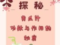 青瓜汁的制作方法（以鲜榨青瓜汁的做法）