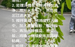 原味蒸槐花的做法（传统美味，健康口感）