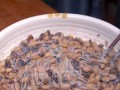 自制纳豆，健康美味从厨房开始（如何在家制作美味的纳豆，不再花钱买不新鲜的超市货！）