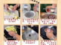 小白菜拌粉丝，清爽开胃的美味佳肴（手把手教你做一道简单易学的凉菜）