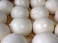 五谷杂粮柱杖馒头的做法（用五谷杂粮营养丰富，用柱杖独特口感，制作美味馒头）