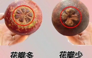 如何选择新鲜美味的山竹？（掌握山竹挑选技巧，享受原汁原味的美味水果）