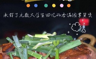 掌翼煲（智能控温，一盅美味在手）