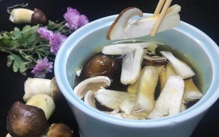 香浓滋补松茸牛肉汤（秋季热门菜肴，为家人带来健康味蕾享受）