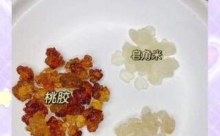 椰浆牛奶雪耳桃胶，营养美味好滋味（一道简单易做的健康甜品，让你美食与养生兼得）