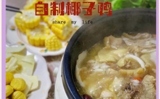 椰汁奶油鸡的做法（美味佳肴，健康饮食）