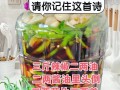 自制美味腌酸菜（教你轻松制作口感鲜美的腌酸菜）