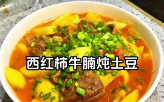 清热解暑菜谱——西红柿土豆炖豆皮（健康美味，夏日必备！一锅炖出清爽口感，营养满分）