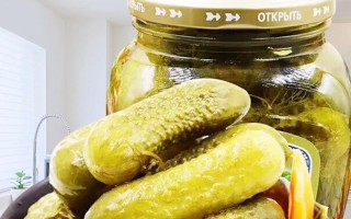 自制美味酸黄瓜（简单易学的制作方法）