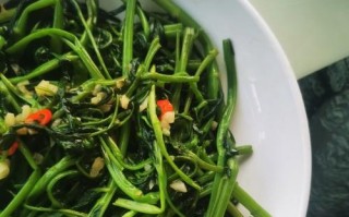 通心菜的美食之旅（做出美味的通心菜佳肴，让家人赞不绝口）