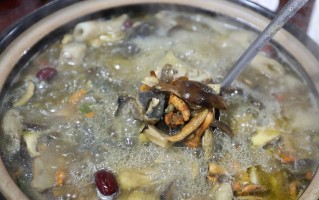 山珍鸡枞汤的做法（营养滋补易上手，轻松享受美味佳肴）