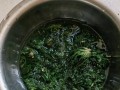 山菜猪肉水饺的美味做法（健康营养又好吃的山林美食）