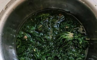 山菜猪肉水饺的美味做法（健康营养又好吃的山林美食）