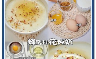 手把手教你制作美味养生汤羹，享受秋日健康生活（手把手教你制作美味养生汤羹，享受秋日健康生活）