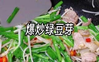 自家种植的自发豆芽，营养健康又新鲜（从采购到种植，打造绿色健康的生活方式）