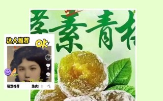 自制养生酵素，提升身体健康！（手把手教你做酵素，让你拥有健康生活！）