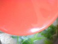 美味又健康的鲜鱼萝卜汤（以海鲜为主打的营养美食，营养丰富，让你吃出健康）