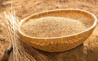 以小麦胚芽坚果戚风蛋糕为主题的制作方法（健康美味，营养丰富的坚果蛋糕制作）
