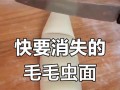 美味可口的蒸毛毛虫（独特的蒸毛毛虫做法，让你大开眼界）