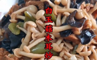美味猪肉木耳蘑菇馅的做法（做法详解，味道美妙，健康营养）