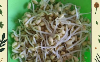 家常美食（美味可口的打卤面让你回味无穷，轻松学会家常做法）