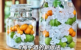 自制酸梅酒（家庭DIY，轻松制作）