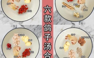 用新开河参炖鸽子，让你回味无穷（传统美食的珍贵烹制法，以及鸽子养殖的技巧）