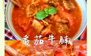 用西红柿烧出美味牛腩的做法（健康鲜美，口感入味的佳肴美食）